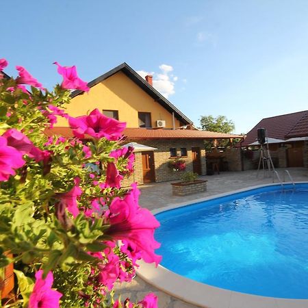 Guest House Vila Alexandar Palić Exteriér fotografie