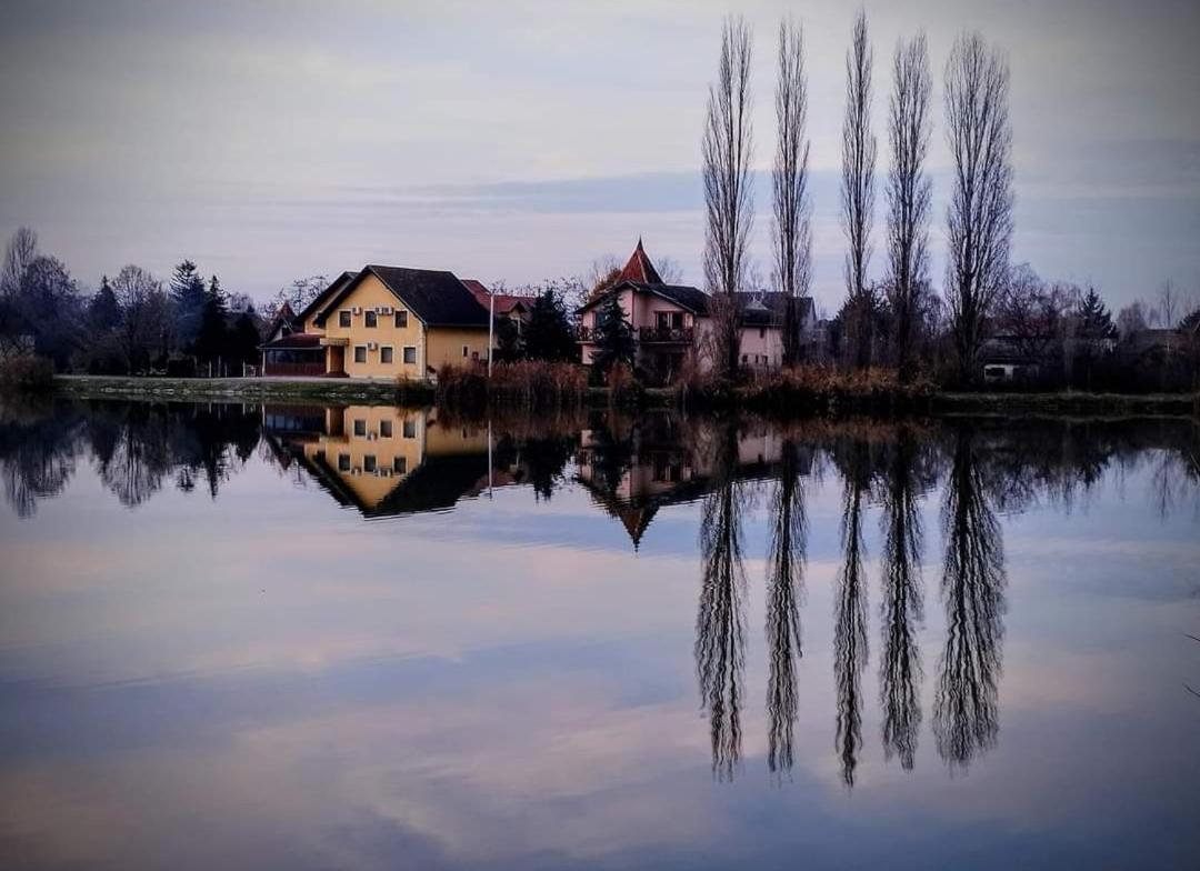 Guest House Vila Alexandar Palić Exteriér fotografie
