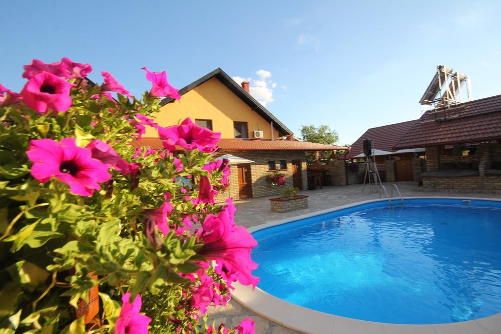 Guest House Vila Alexandar Palić Exteriér fotografie
